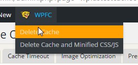 wp fastest cache clear cache